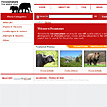 Royalty Free Stock Animal Photos's Website