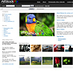 AllStockPix - Royalty Free's Website