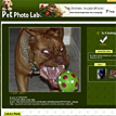 Pet Photo Lab's Website