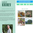 Landscape Paintings by Vasiliy Kikinev's Website