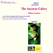 The Amateur Gallery's Website