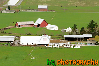 Aerial View of Farm painting