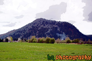 Mt. Peak, Enumclaw painting