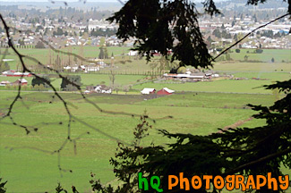 View of Farms & Enumclaw painting