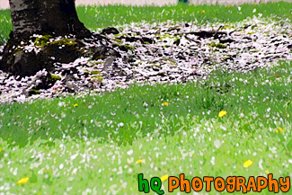 Spring Flowers on Grass painting