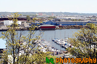 Commencement Bay, Trees, & Boats painting