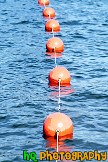 Orange Buoys painting