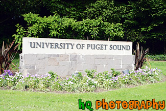 University of Puget Sound Sign painting