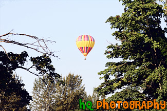 Hot Air Balloon Through Trees painting