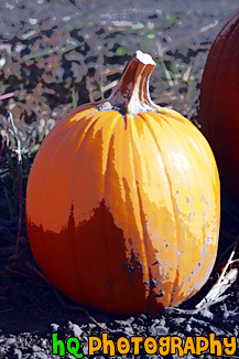 Single Pumpkin painting