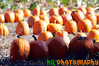 Pumpkin Patch painting