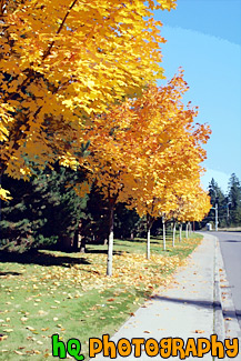 Row of Yellow Trees painting