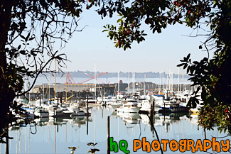 Sailboats of Tacoma Commencement Bay painting