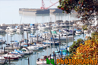 Sailboats in Puget Sound painting