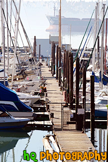 Dock & Sailboats in Tacoma painting