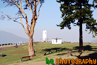 Brown's Point Lighthouse, Fog, and Trees painting