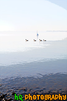 Ducks in Front of Sail Boat painting