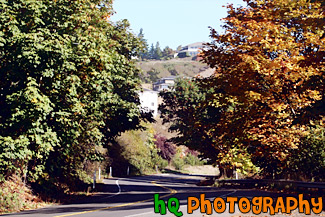 Curvy Road & Trees Changing Color painting