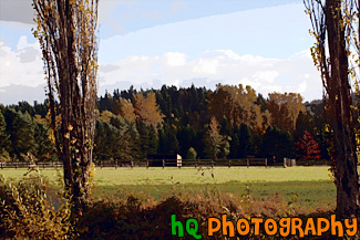 Farmland in Countryside of Orting, Washington painting