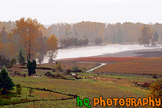 Puyallup River Flooding Farmland painting