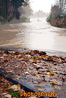 Puyallup River Flooding Over Road painting