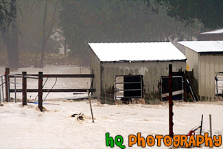 Farm Shed in Flooded by River painting