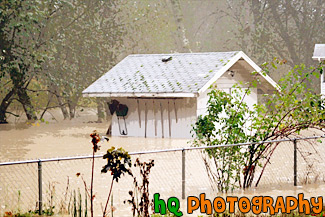 Shed Flooded by River painting