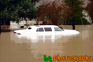 Close Up of White Car in Flood painting