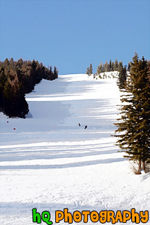 Ski Slope at Big Mountain painting