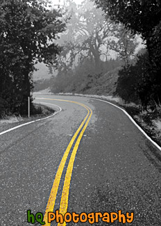 Yellow Stripe on Black & White Road painting