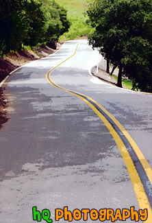 Road Between Green Trees painting