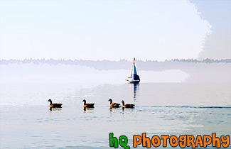 Ducks & Sailboat painting