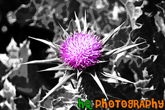 Purple Flower in Black and White painting