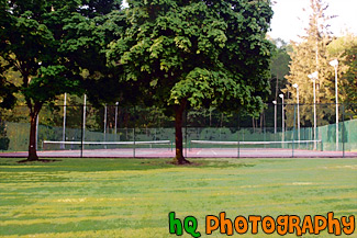 Grass, Trees, and Tennis Court painting