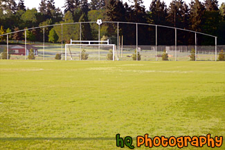 Soccer Field and Goal painting