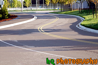 S-Curved Road With Shadows painting