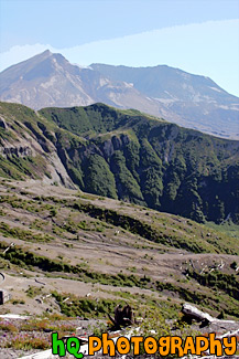 Mt. St. Helens Vertical painting