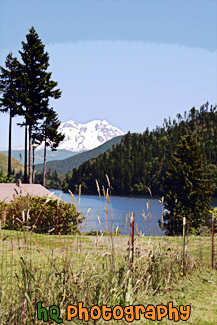 Mt. Rainier in Distance painting