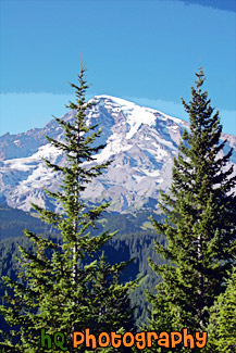 Two Evergreen Trees & Mt. Rainier painting