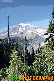 Evergreen Trees, Blue Sky  & Mt. Rainier painting