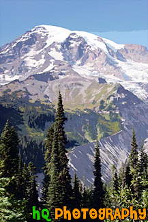 Vertical Mt. Rainier Close Up painting