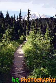 Trail Leading to Mt. Rainier painting