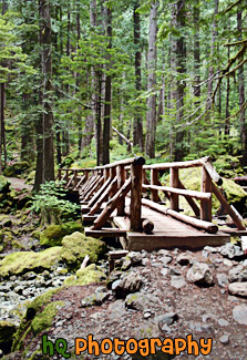 Hike & Wooden Bridge painting