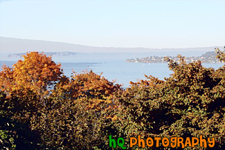 Fall Trees Overlooking Commencement Bay painting