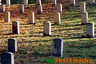 Graves & Autumn Leaves painting