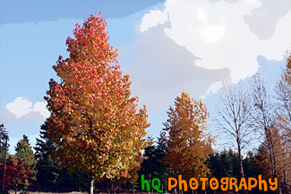 Fall Trees & Blue Sky painting