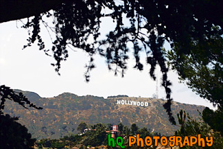 Hollywood Sign in Distance painting