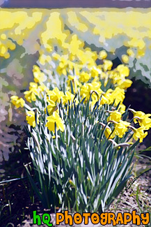 Daffodils Row painting