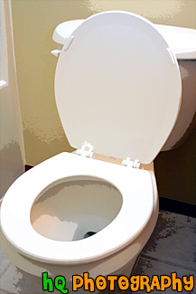 White Toilet painting