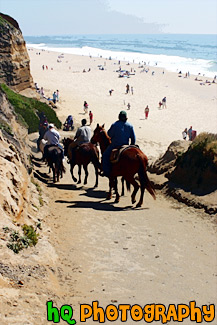 Horses Heading to the Beach painting